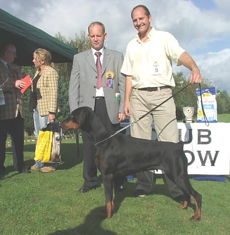 Best in Show