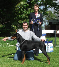 Best in Show
