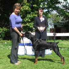 Reserve Best in Show